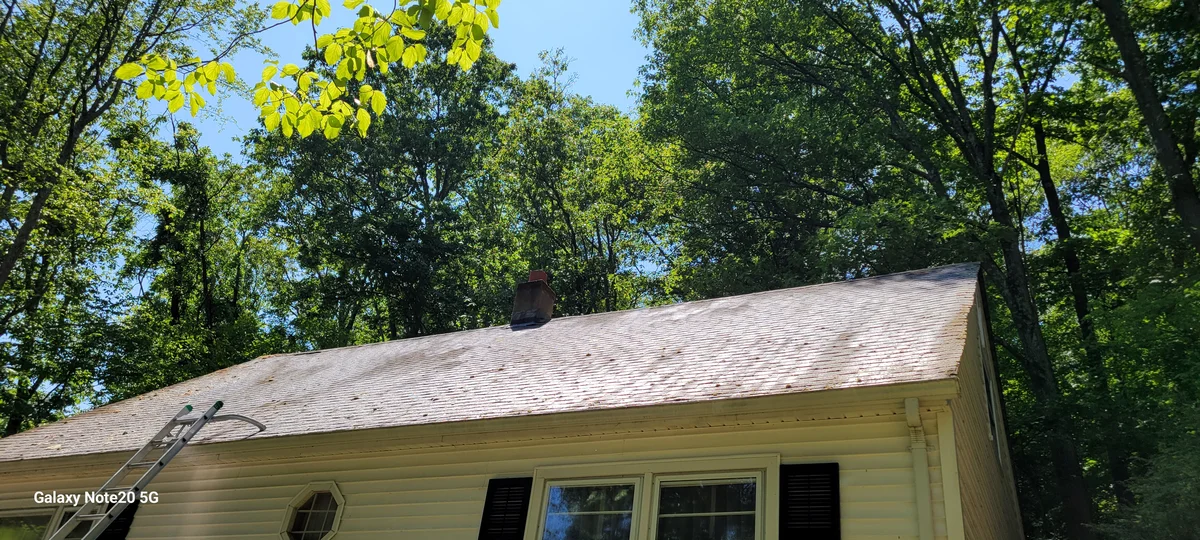 Clean gray shingle roof on white colonial house after professional soft wash, ladder visible, summer blue sky